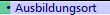  Ausbildungsort