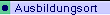 � Ausbildungsort
