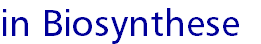in Biosynthese
