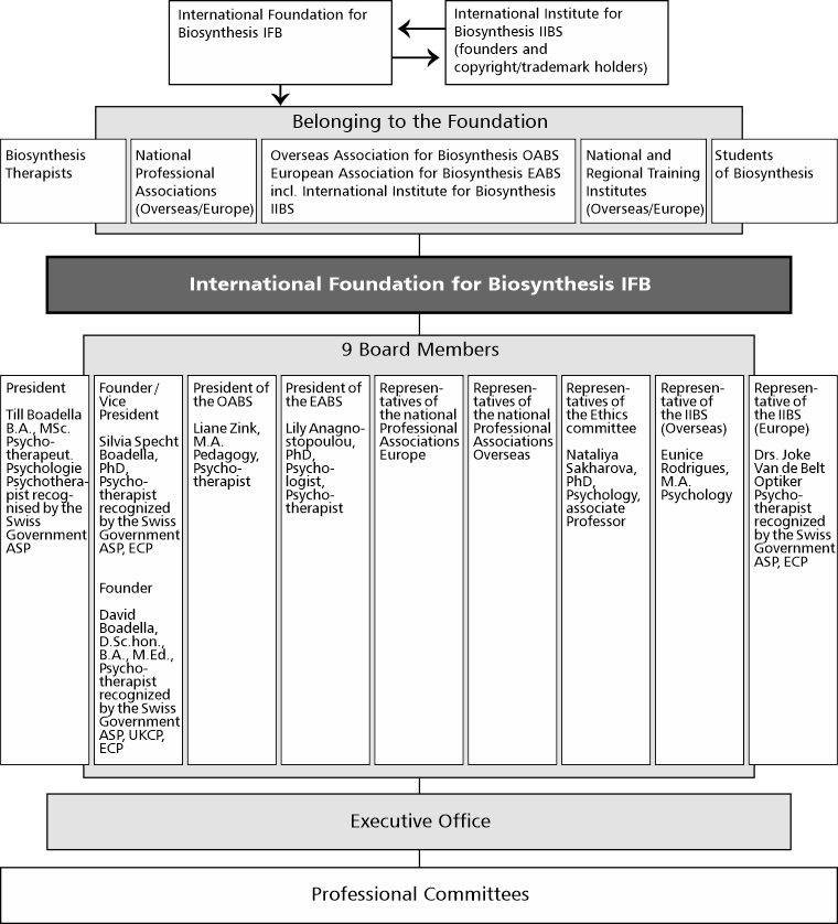 mailing_stiftung_english_organigram_6